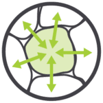 Receptor ligand interactions