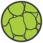 Subcellular localization analysis