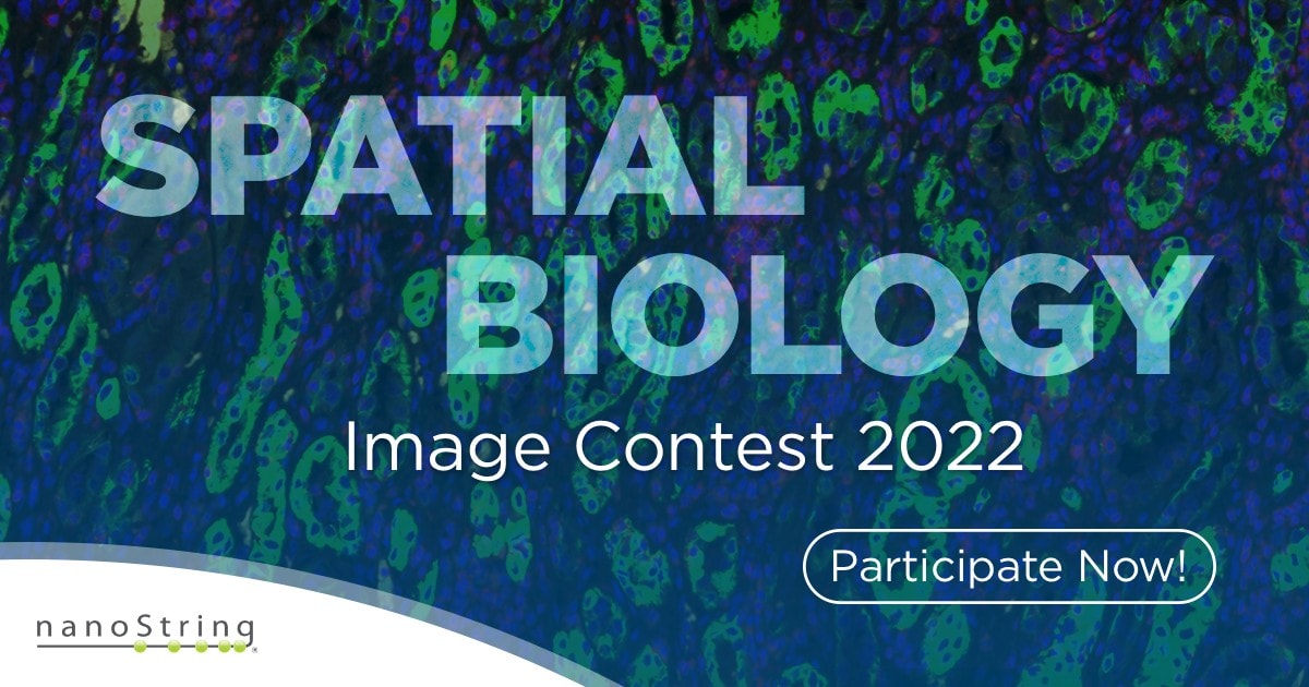 Spatial Biology Image Contest 2022 | Bruker Spatial Biology