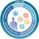 Circular wheel graphic for the CosMx Human Universal Cell Characterization RNA Panel