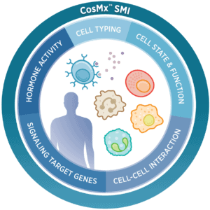 Circular wheel graphic for the CosMx Human Universal Cell Characterization RNA Panel