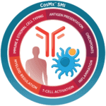 Circular diagram representing CosMx SMI proteins