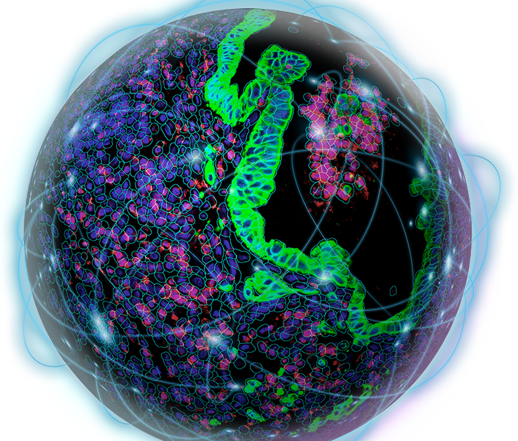 University of Hawaii Seminar: Spatial Multiomics from Whole ...