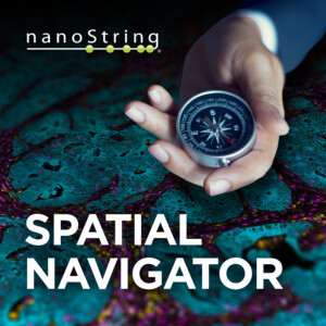 Spatial Navigator podcast logo