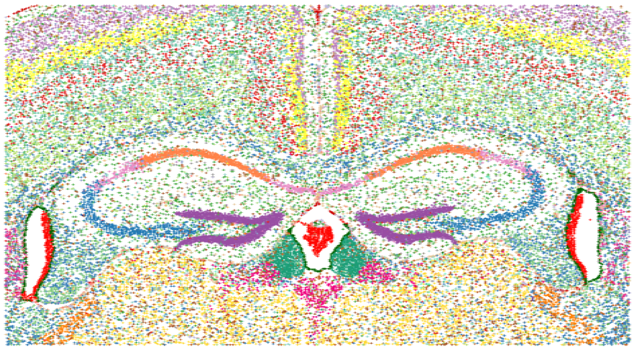 mouse brain dataset analysis Images High Quality Grahic CosMx SMI Mouse Brain FFPE Dataset | Bruker Spatial Biology