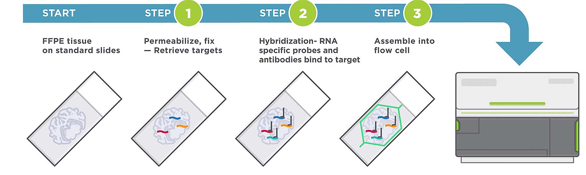 Nanostring CosMx spatial molecular imager workflow