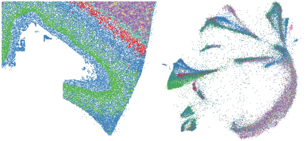 Frontal Cortex Graphcs CosMx SMI Human Frontal Cortex FFPE Dataset | Bruker Spatial Biology