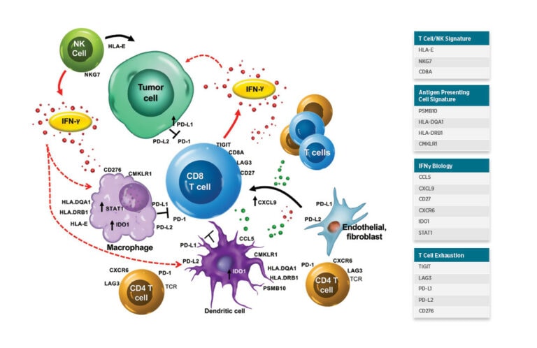 Tis Score Tumor Inflammation Signature (TIS) (RUO) | Bruker Spatial Biology