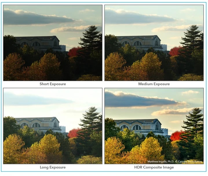 <strong>Autumn in St. Louis, captured in HDR.</strong> Colorful trees in Forest Park (St. Louis, Missouri) were captured using multiple different exposure times. An HDR composite image (bottom right) was created from overlaying exposures.