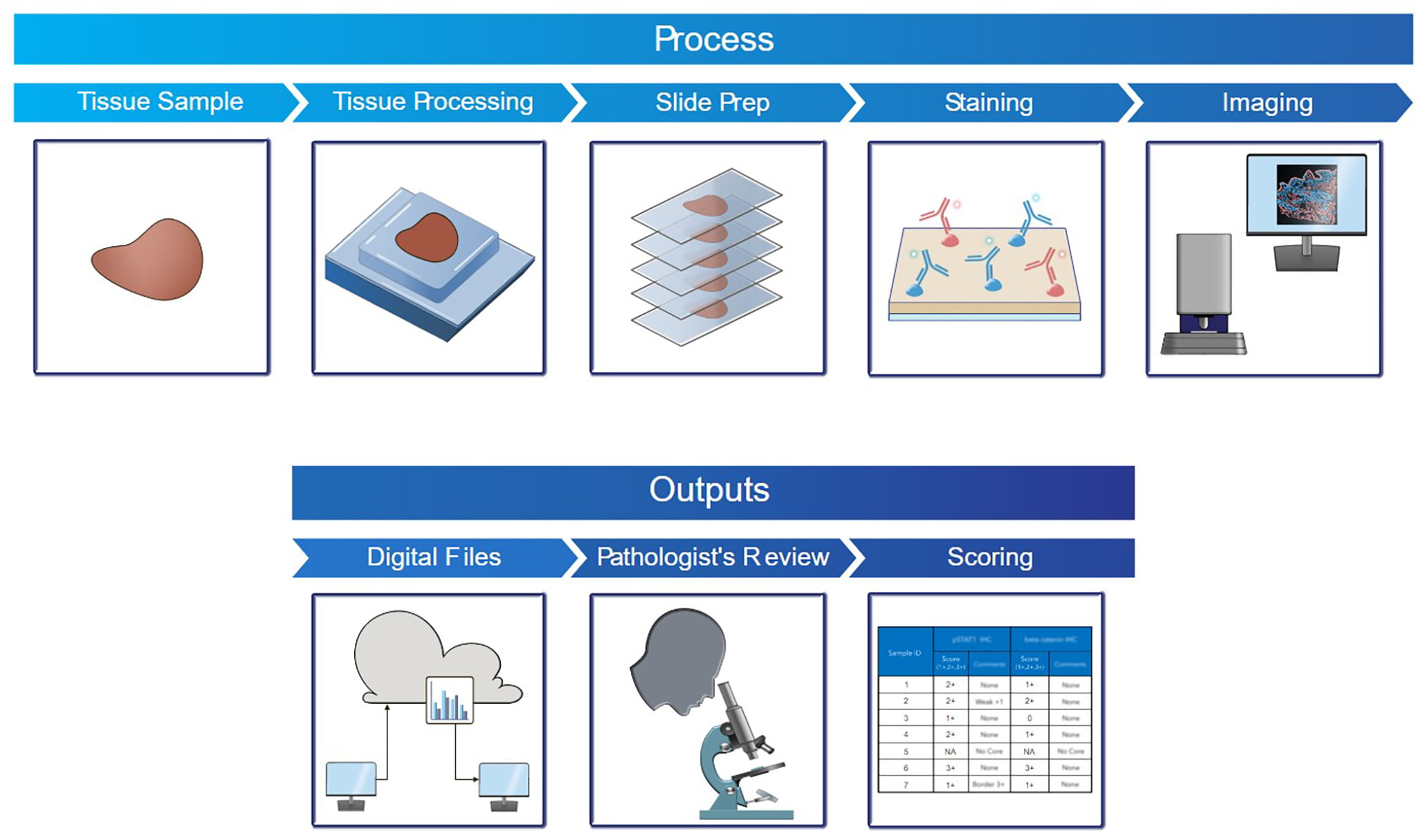 IHC-workflow-@2x