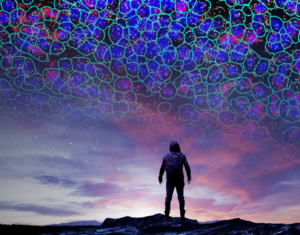 Silhoutte of person with tissue image superimposed on night sky