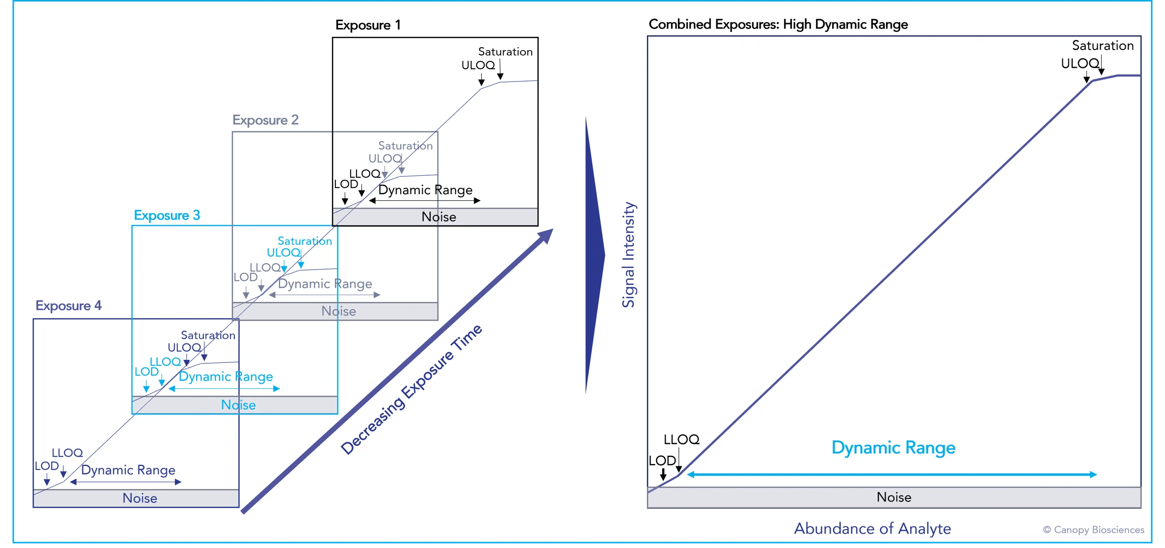 <strong>HDR detection methods extend the range of analytes that can be visualized and quantified. </strong>Combining multiple exposures, each with their own dynamic ranges, expands the total dynamic range by multiple orders of magnitude.