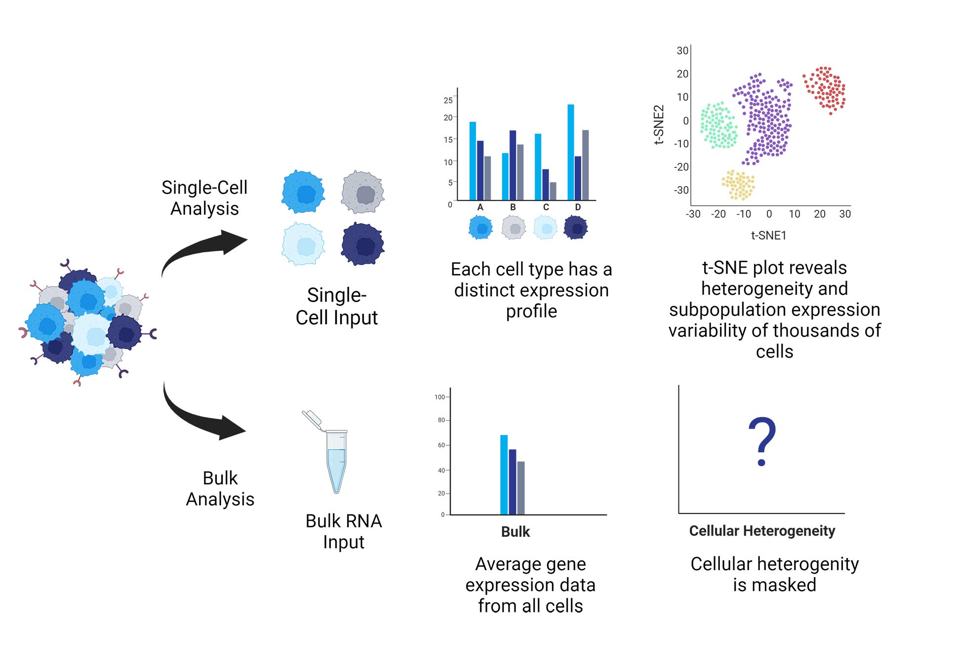 Copy-of-single-cell-vs-bulk-analysis-