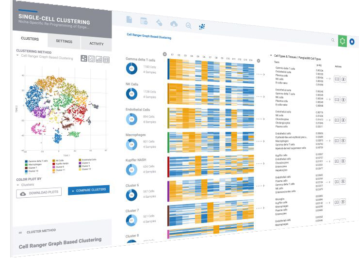 ROSALIND_single_cell_analysis