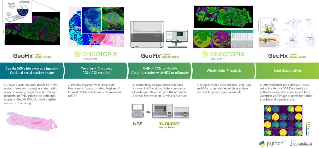 GeoMx Visiopharm workflow diagram