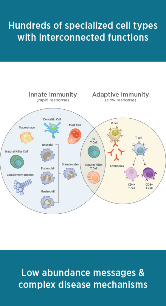 Hundres of specialized cell types with interconnected functions