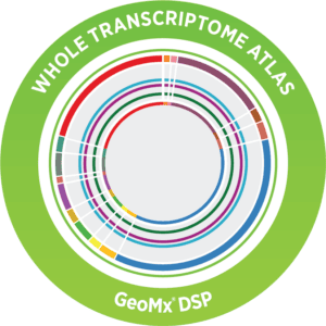 Circular medallion for GeoMx WTA