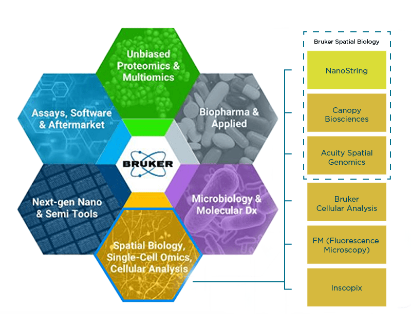 Bruker Spatial Biology