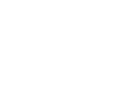 logo_Bruker_BSB_Vertical_WHITE