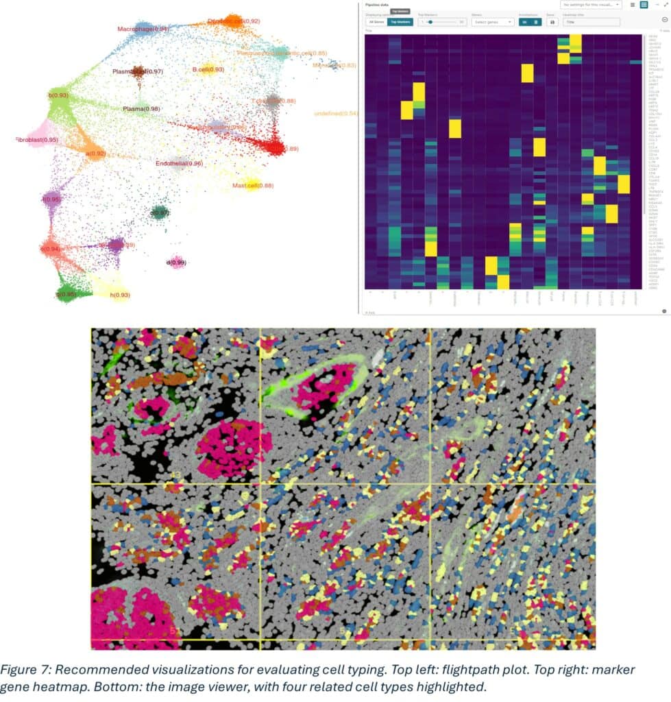 3 Tips for Successful CosMx Single-cell Spatial Runs at 1000 plex