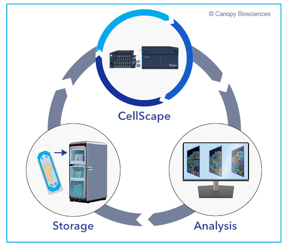 Data-driven assays expansion using CellScape incorporates rounds of automated staining and imaging, data analysis, and sample storage.