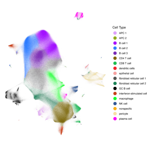 Cell Type Map CosMx Human Lymph Node FFPE Dataset | Bruker Spatial Biology