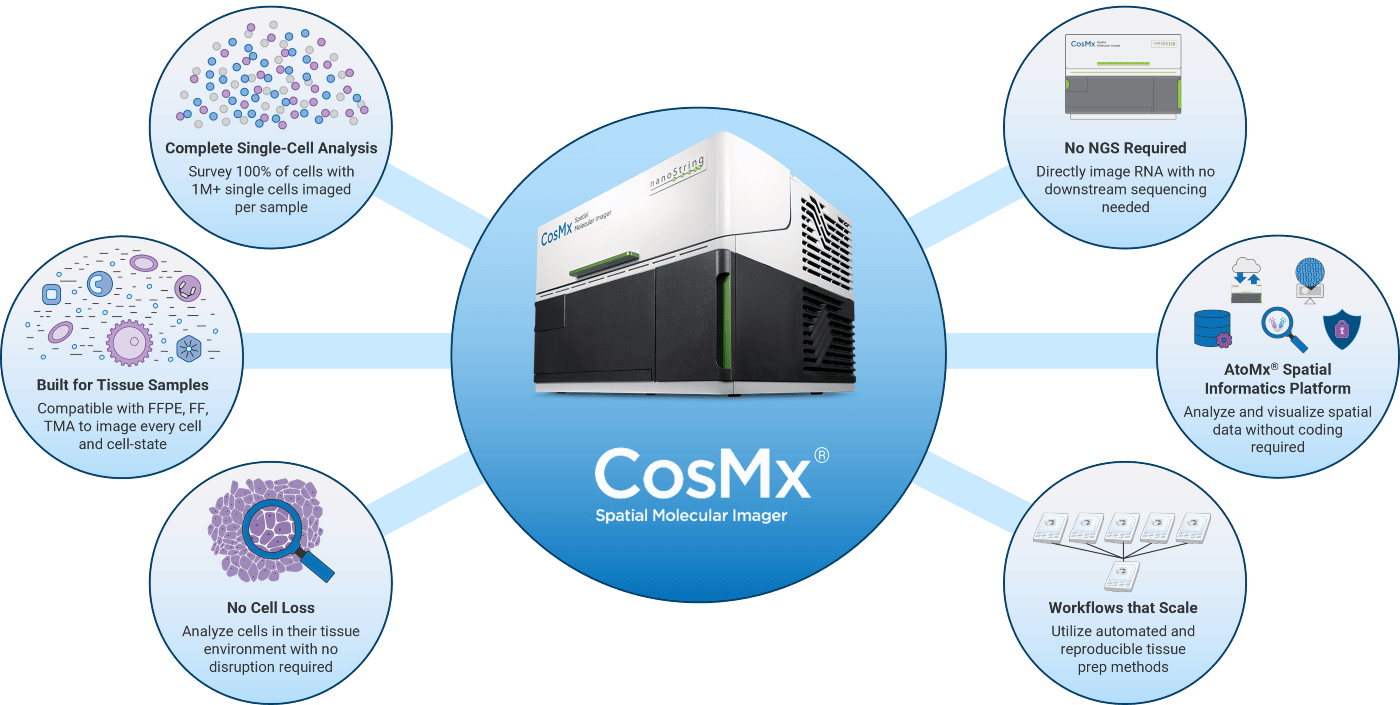 Moving Beyond scRNA-seq: The Power of CosMx Whole Transcriptome ...
