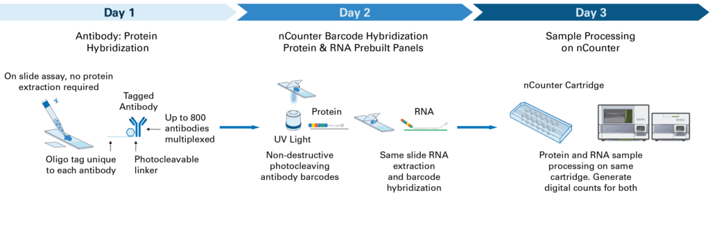 Bulk_Multiomics_Workflow Graphic depicting protein labeling, RNA hybridization, and sample processing on nCounter across 3 days