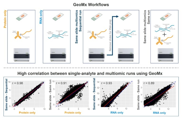 GeoMx Discovery Proteome Atlas (DPA) | Bruker Spatial Biology