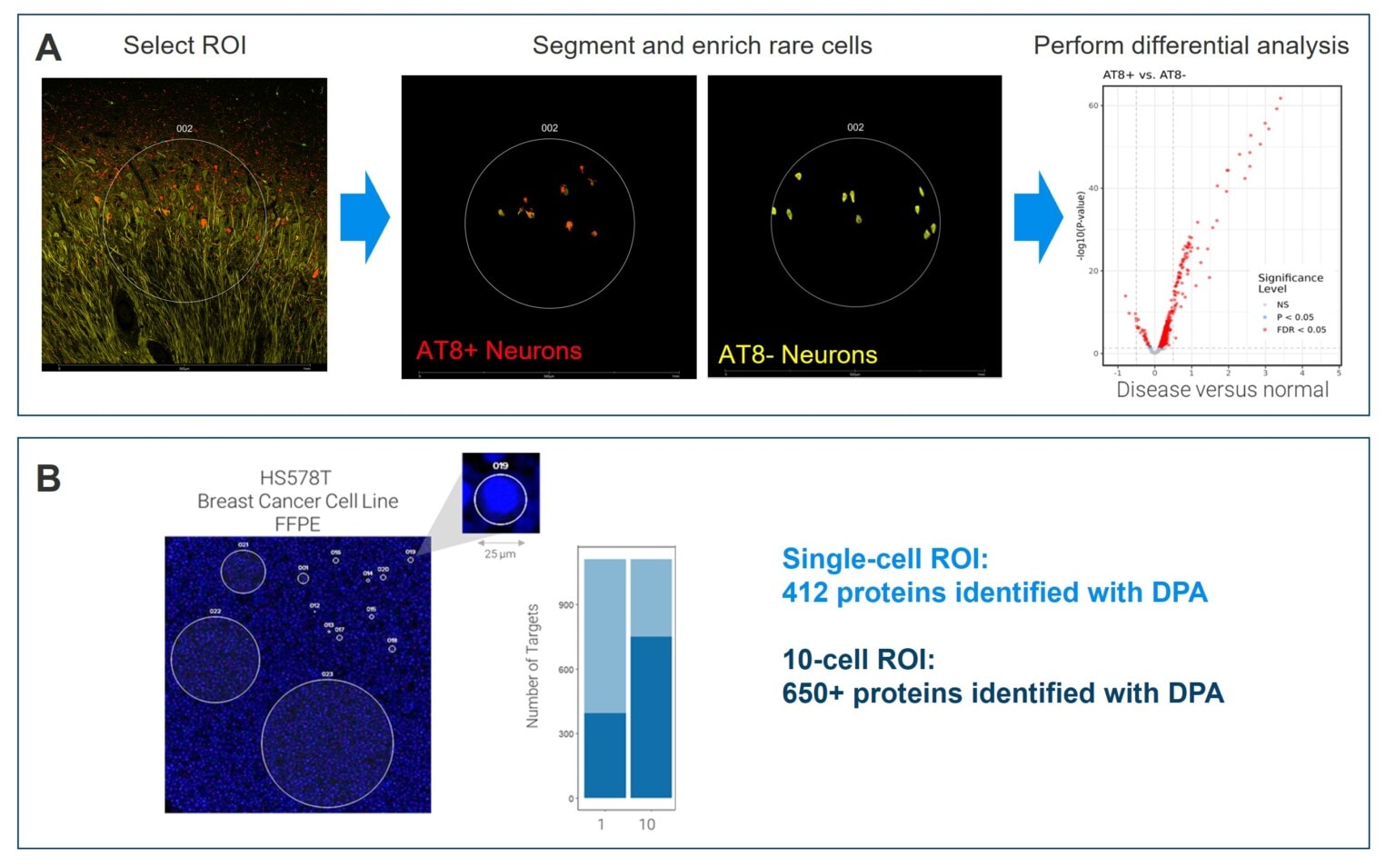 GeoMx Discovery Proteome Atlas (DPA) | Bruker Spatial Biology
