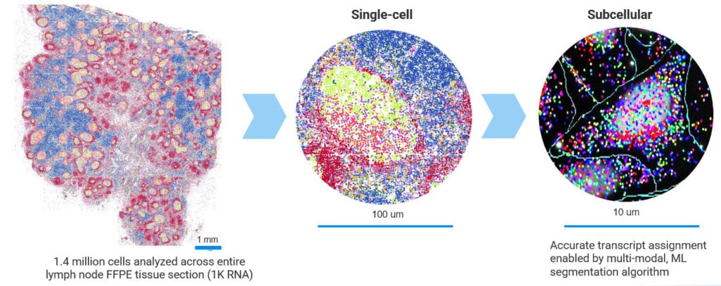 CosMx SMI Overview - Single-Cell Imaging - NanoString