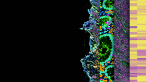 Biomarkers & Precision Medicine US 2025