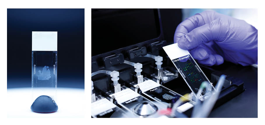 Assembled CellScape Whole-Slide Imaging Chamber (left) and assembled slides being loaded into CellScape instrument (right).