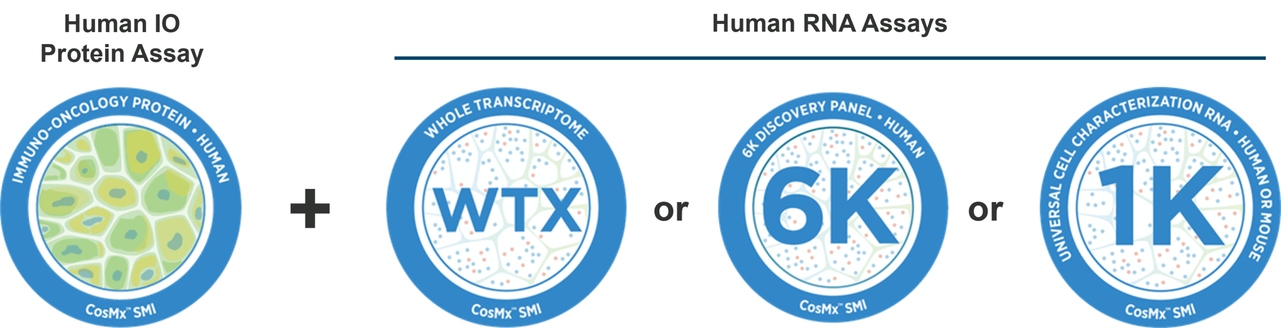 Schematic displaying CosMx Human IO Protein Assay plus any choice of Human RNA Assays to achieve CosMx Same-Cell Multiomics