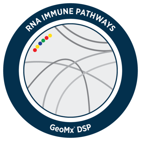 GeoMx Immune Pathways Panel