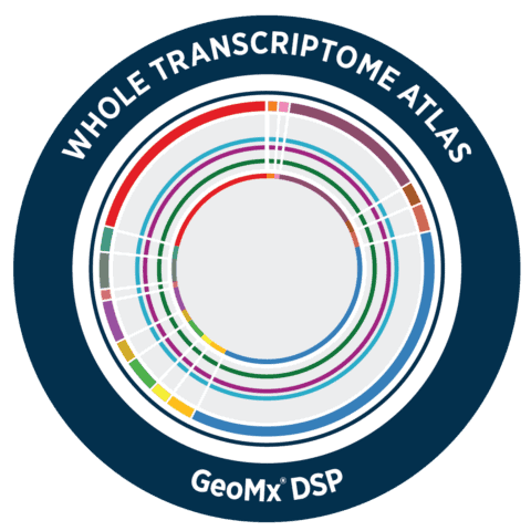 GeoMx Human Whole Transcriptome Atlas