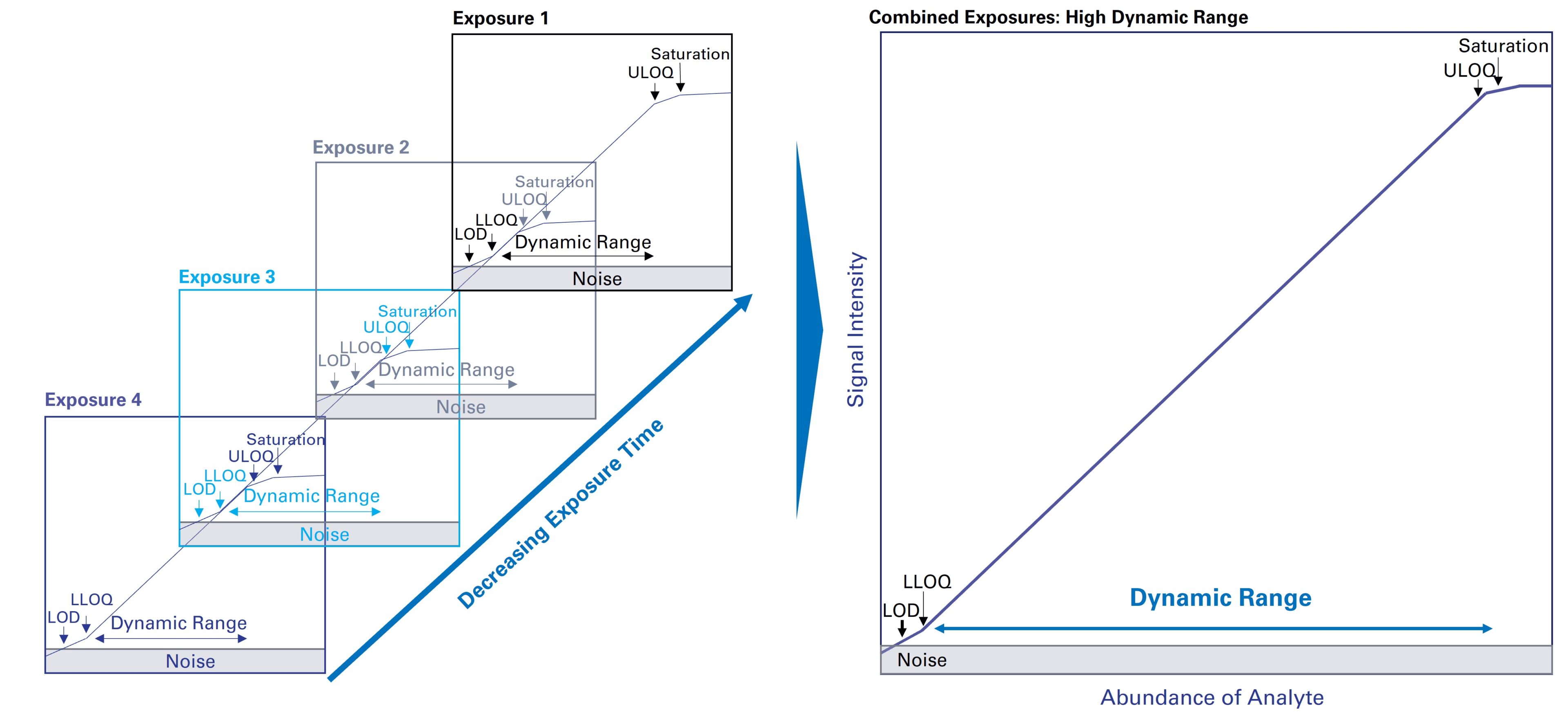 <strong>HDR detection methods extend the range of analytes that can be visualized and quantified. </strong>Combining multiple exposures, each with their own dynamic ranges, expands the total dynamic range by multiple orders of magnitude.