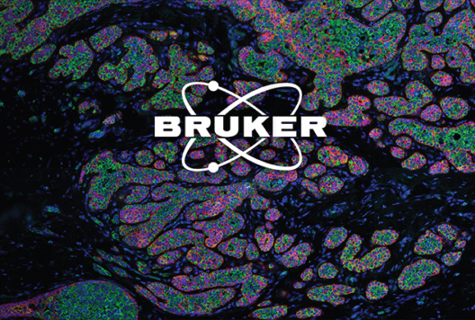 GeoMx tissue image with logo overlaid.