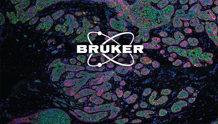 GeoMx tissue image with logo overlaid.