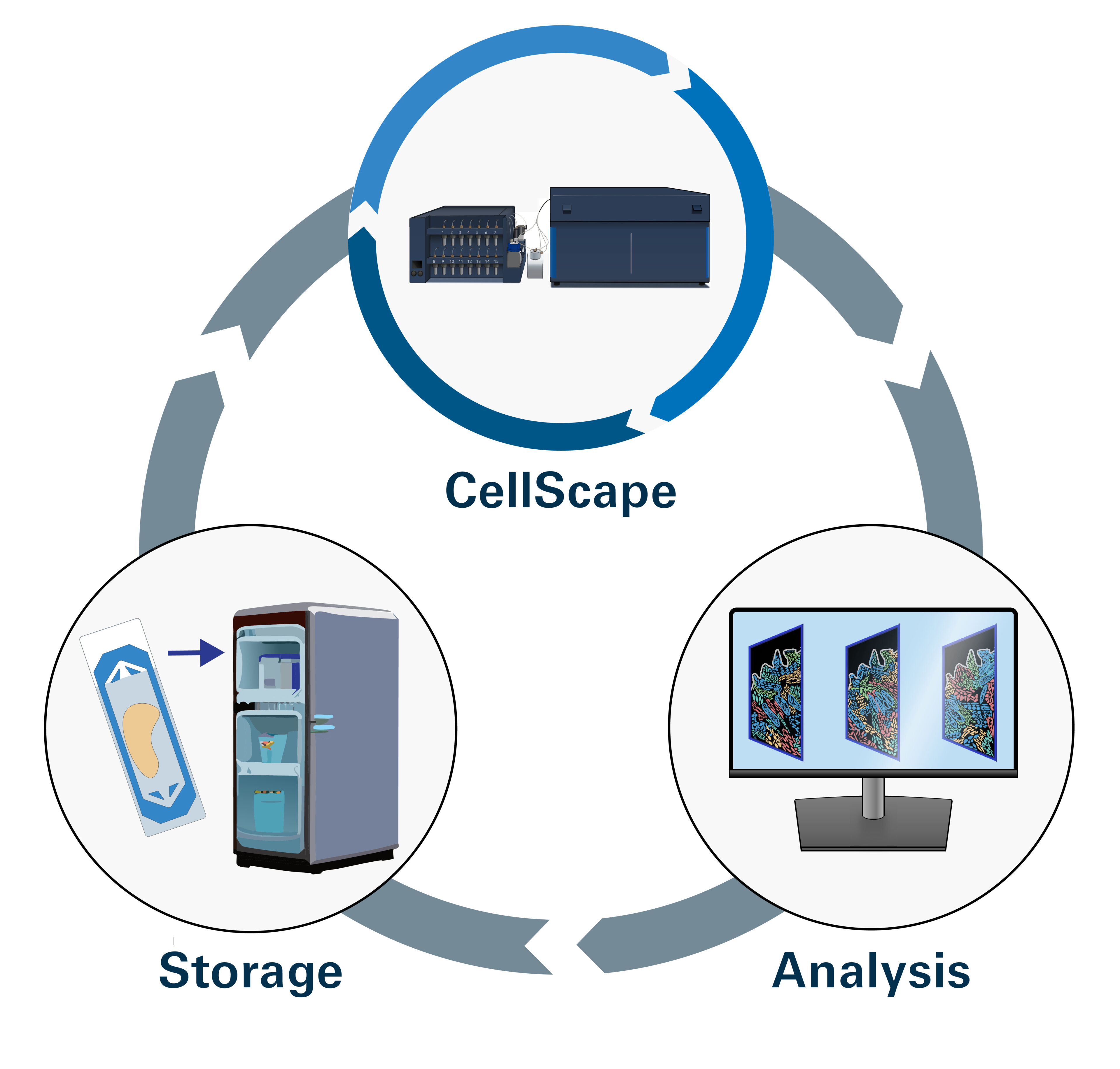 Data-driven assays expansion using CellScape incorporates rounds of automated staining and imaging, data analysis, and sample storage.