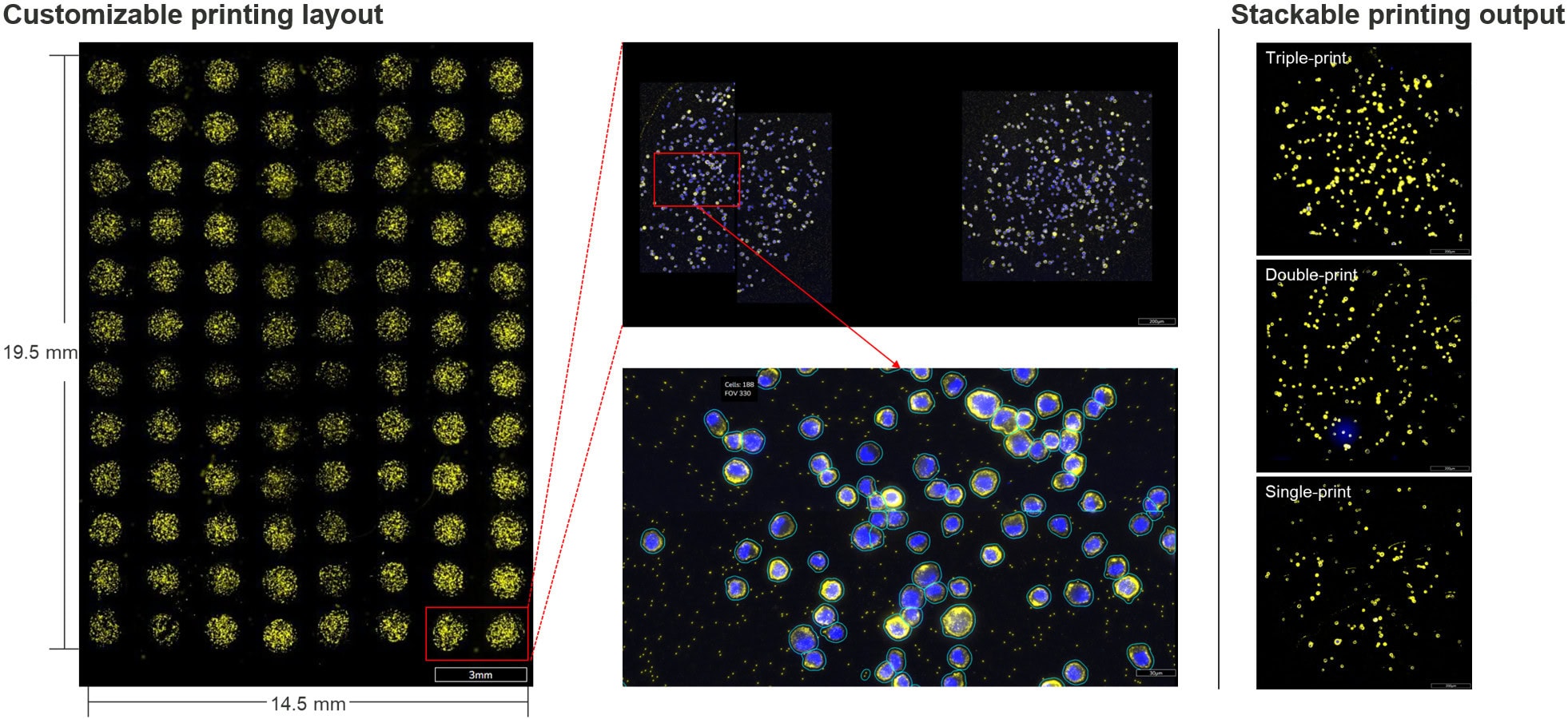 How CosMx SMI Enables Next-Generation Spatially Resolved Cell Assays ...