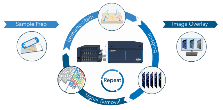 CellScape - Precise Spatial Proteomics - Bruker Spatial Biology