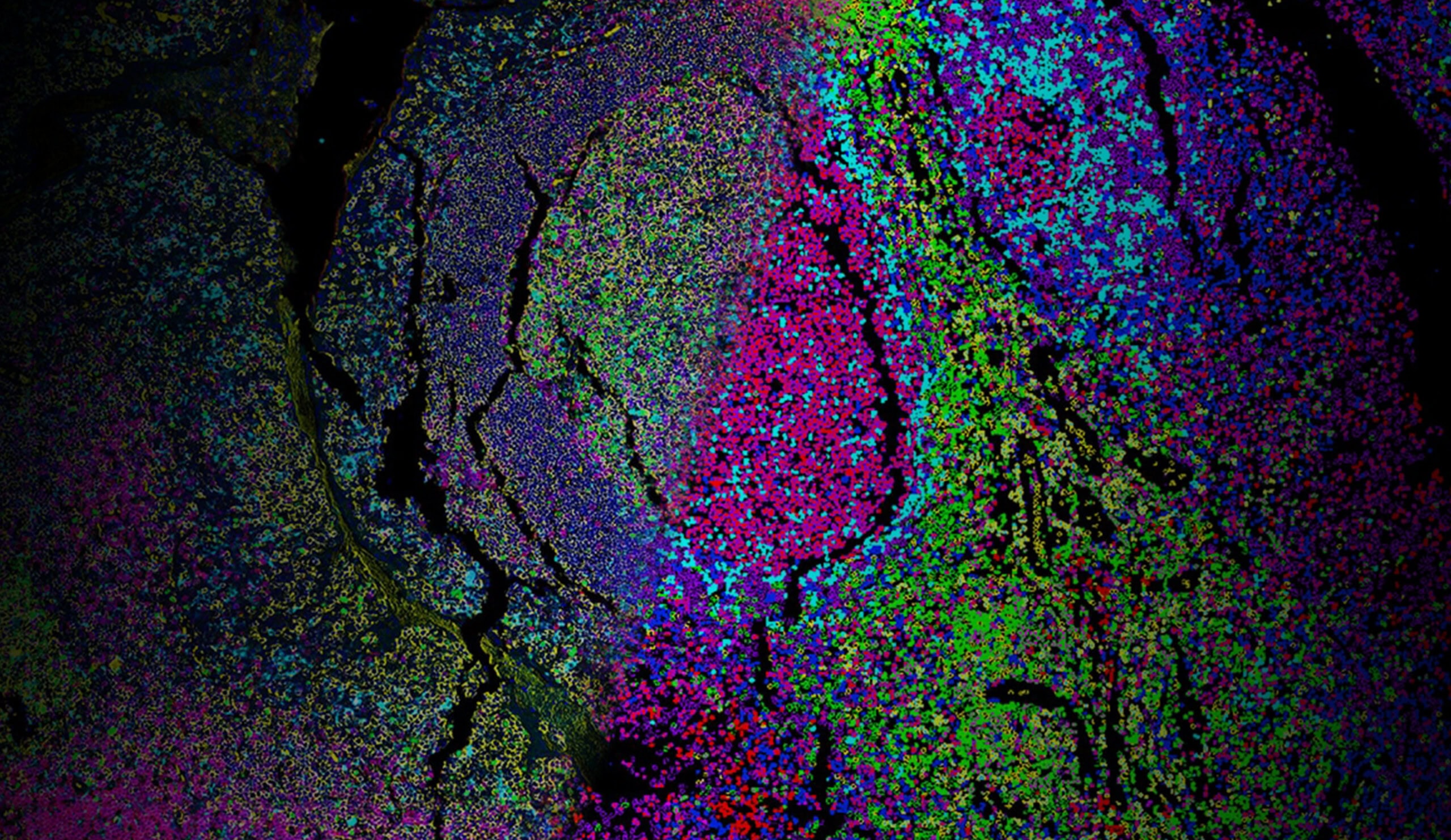 VistaPlex Tissue Architecture Assay Kit | Bruker Spatial Biology