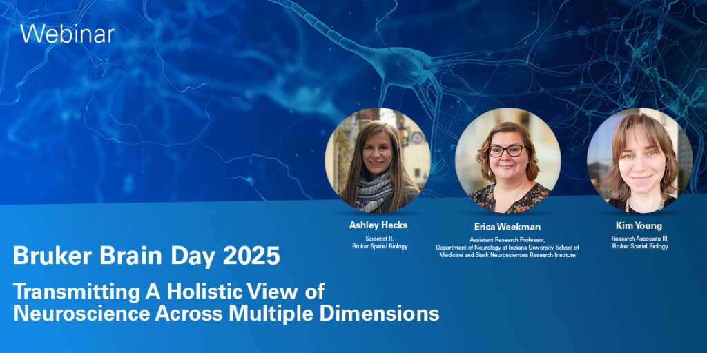 Webinar announcement: Transmitting a holistic view of neuroscience across multiple dimensions.