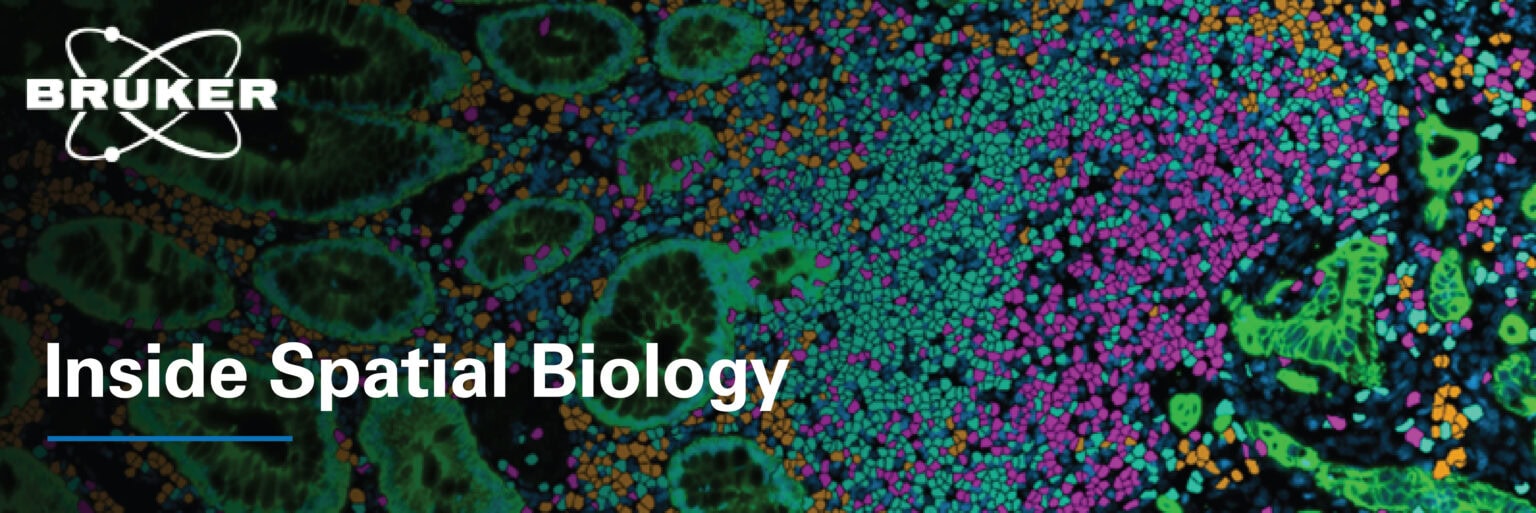 March 2025 Newsletter | Bruker Spatial Biology