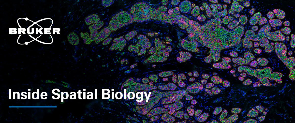 October 2025 Newsletter | Bruker Spatial Biology