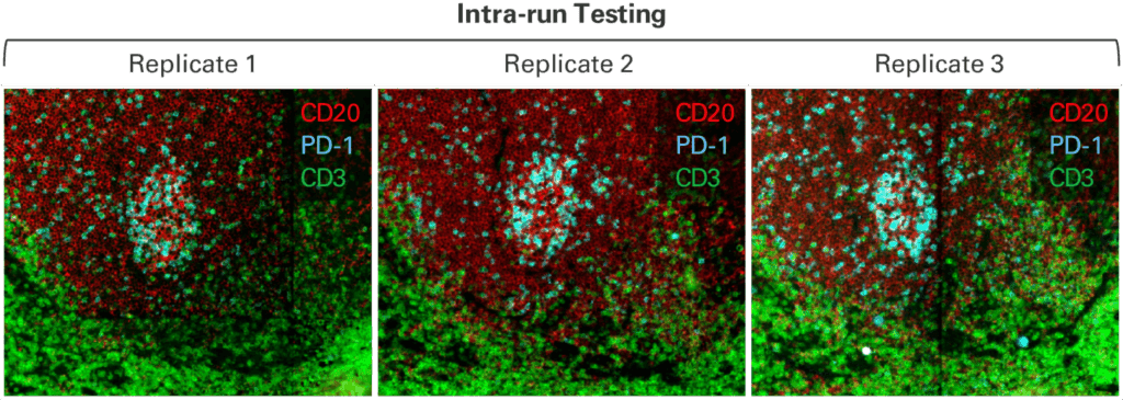3 nearly-identical tissue image replicates imaged on CellScape and stained with 3 markers.