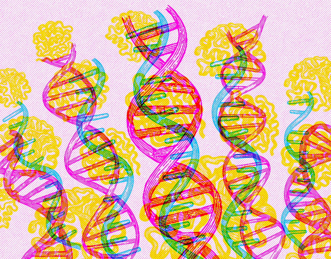 Product Roadmap | Bruker Spatial Biology