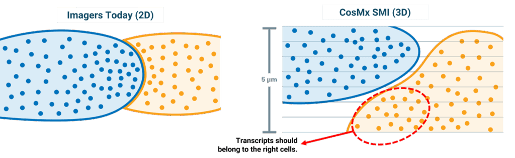 CosMx SMI reconstructs cell boundaries in 3D for accurate single-cell boundaries, unlike traditional spatial imaging methods.