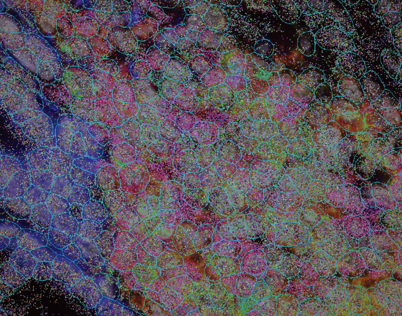 ☆　16577様 ｜Biocellx２　＋サンプロ CellScape Overview Updated Page | Bruker Spatial Biology